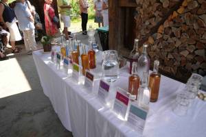 2025-08-15-0241020Kopie_3_11zon_original