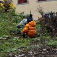 2025_2_Gartentsag_8.11_10_original