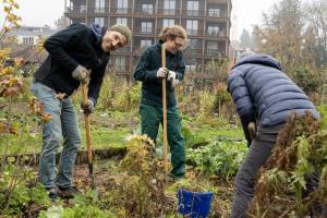 2025_2_Gartentsag_8.11_17_original