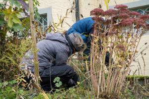 2025_2_Gartentsag_8.11_18_original