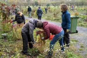 2025_2_Gartentsag_8.11_22_original