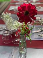 Tisch20blumen_5_11zon_original