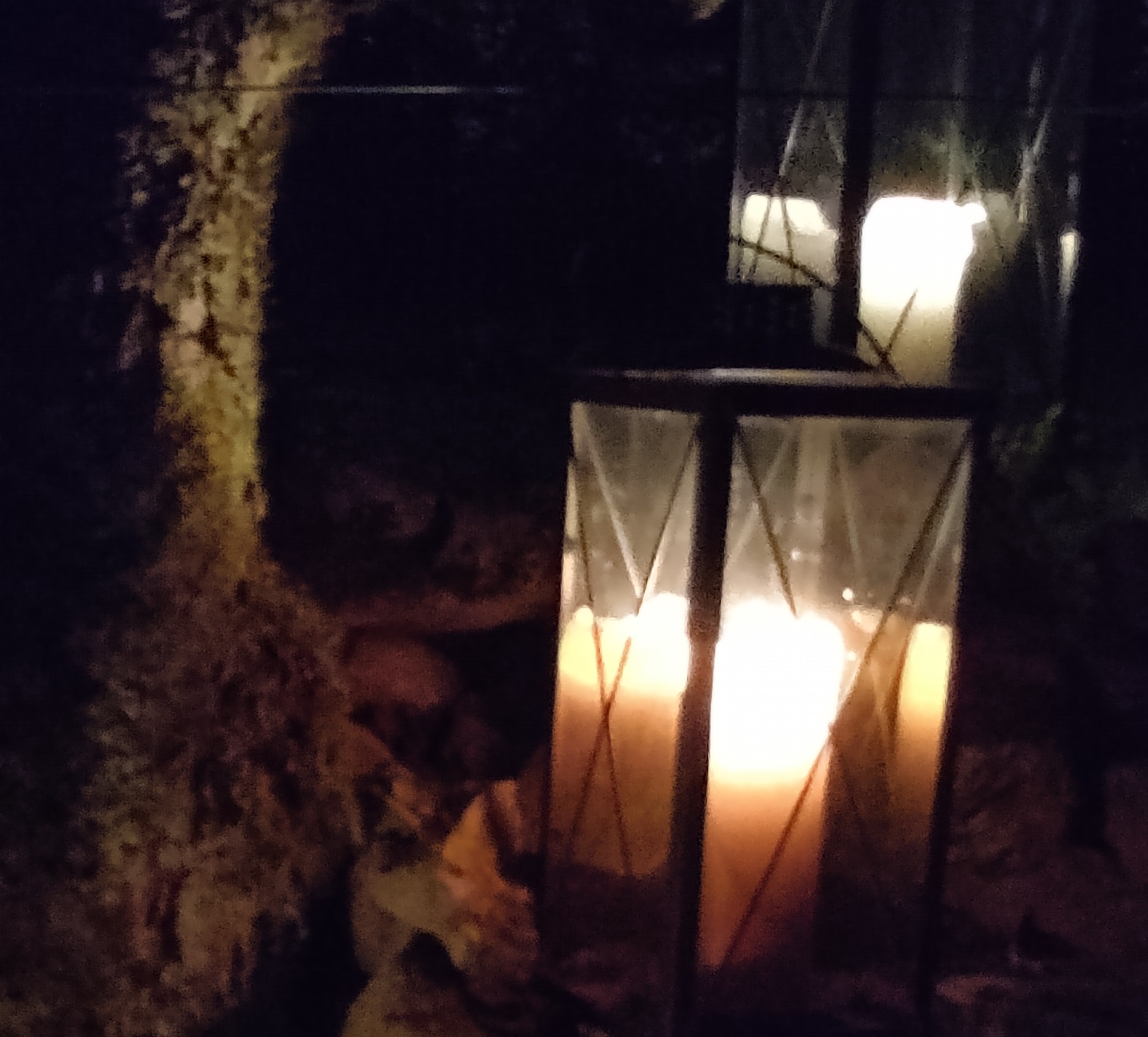 Licht- und Schatten-Momente