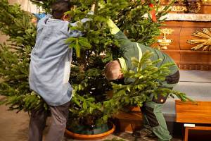 2025_12_22_C_von_Adrian_Muller_0047_Web1500_original