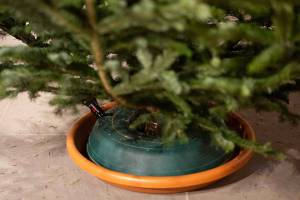 2025_12_22_C_von_Adrian_Muller_0057_Web1500_original