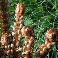 2026_04_18_N_von_Adrian_Muller_0009Web1000_original