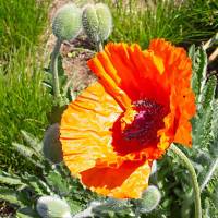 2026_04_27_C_von_Adrian_Muller_0025Web1000_original