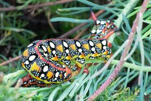 2026_08_28_C_von_Adrian_Muller_0011Web_original