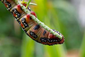 2026_08_30_N_von_Adrian_Muller_0018Web_original