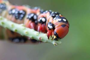 2026_08_30_N_von_Adrian_Muller_0023Web_original