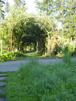 P1040596_original