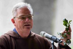 Paul20Steckpalme_original