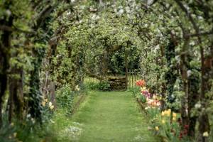 Pergola20800_original