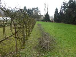 Schnitt20600_original
