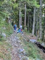 im20Wald_original
