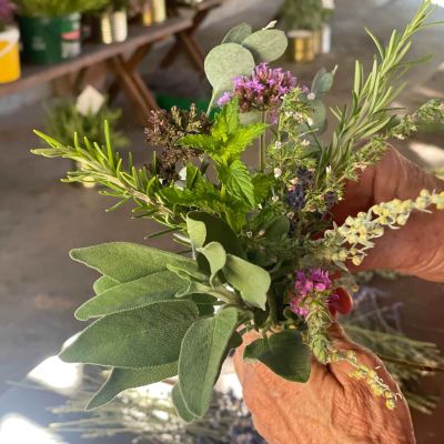 Was der Garten weiterschenkt