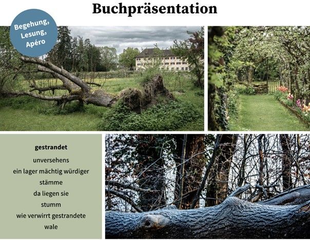 Jeder Baum zählt